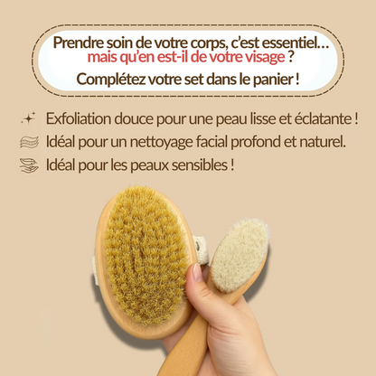 Brosse de Massage à Sec Naturelle pour le Corps