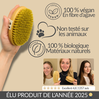 Brosse de Massage à Sec (Remisé)