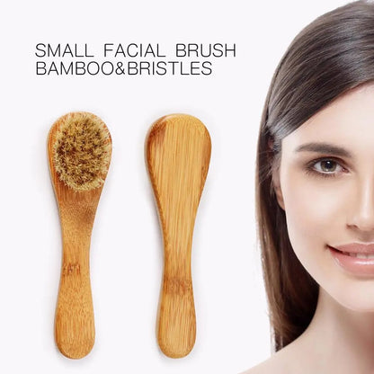 Brosse Visage à Sec