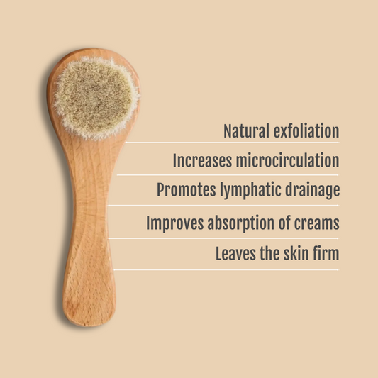 Brosse Visage à Sec
